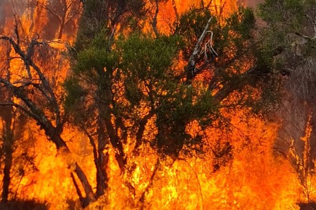 Warning to ‘leave immediately’: Bushfire threat flares again on Western Downs