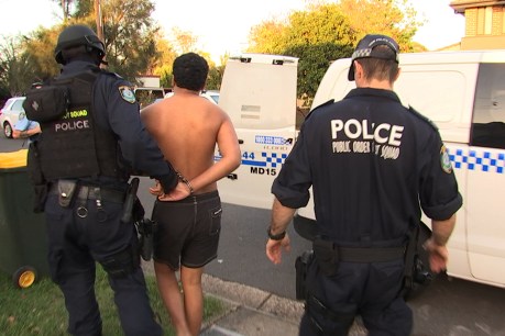 Race to the bottom: Why Queensland’s youth crime misery is not improving