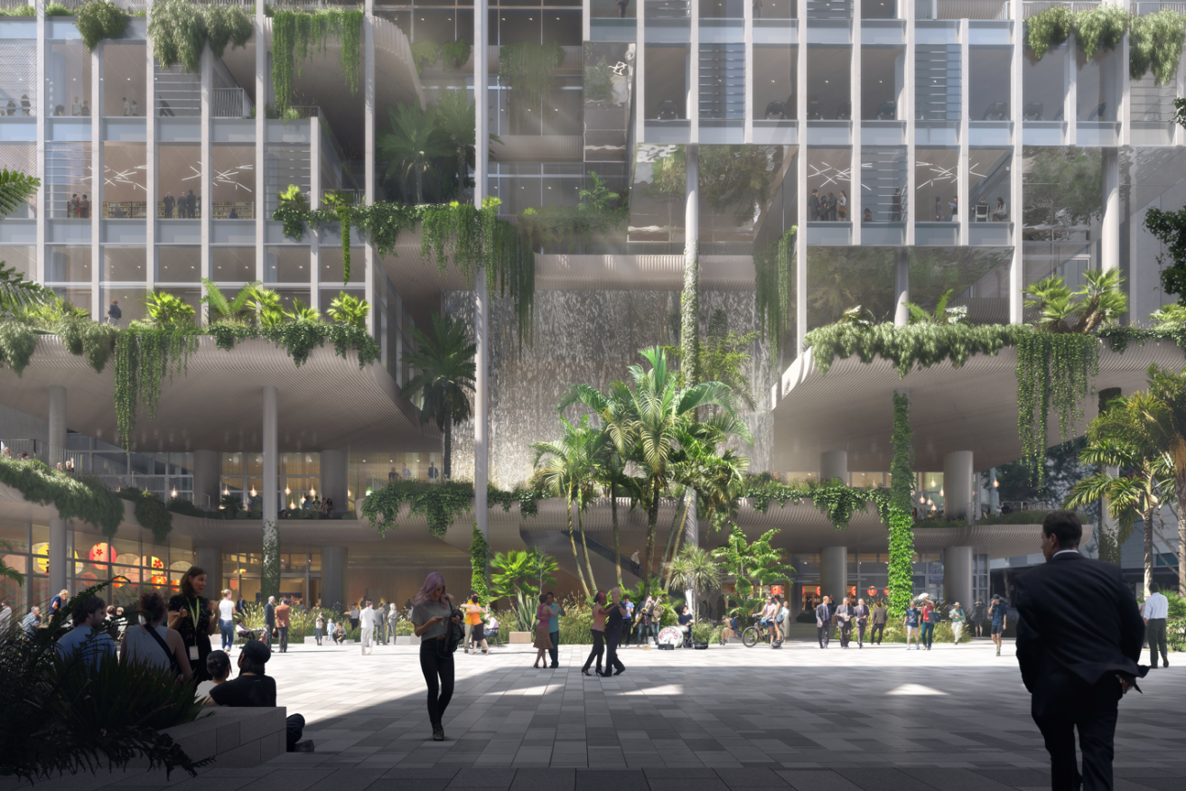 The ground floor view of the planned rainforest tower
