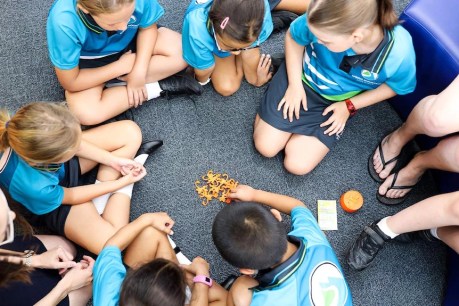What’s Prep all about? Turns out Education Queensland doesn’t know for sure