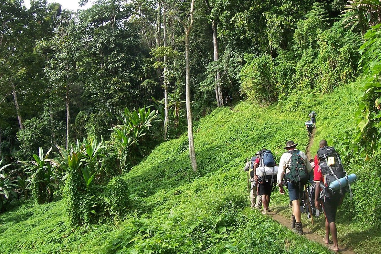 Walkers on the Kokoda track. (Image: Luke Brindley)