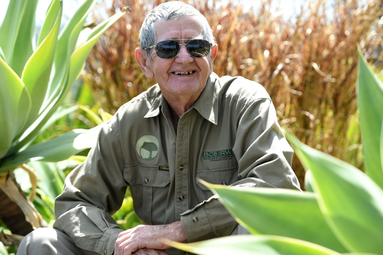 Bob Irwin, the father of legendary Australian crocodile hunter Steve Irwin. (AAP Image/Dan Himbrechts) 