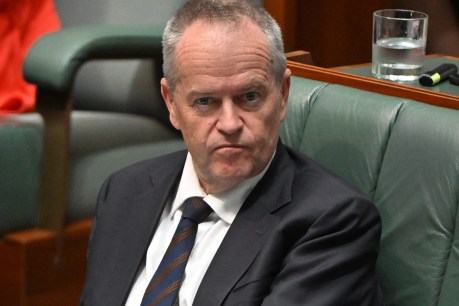 Shorten vows to chase predator providers out of NDIS system