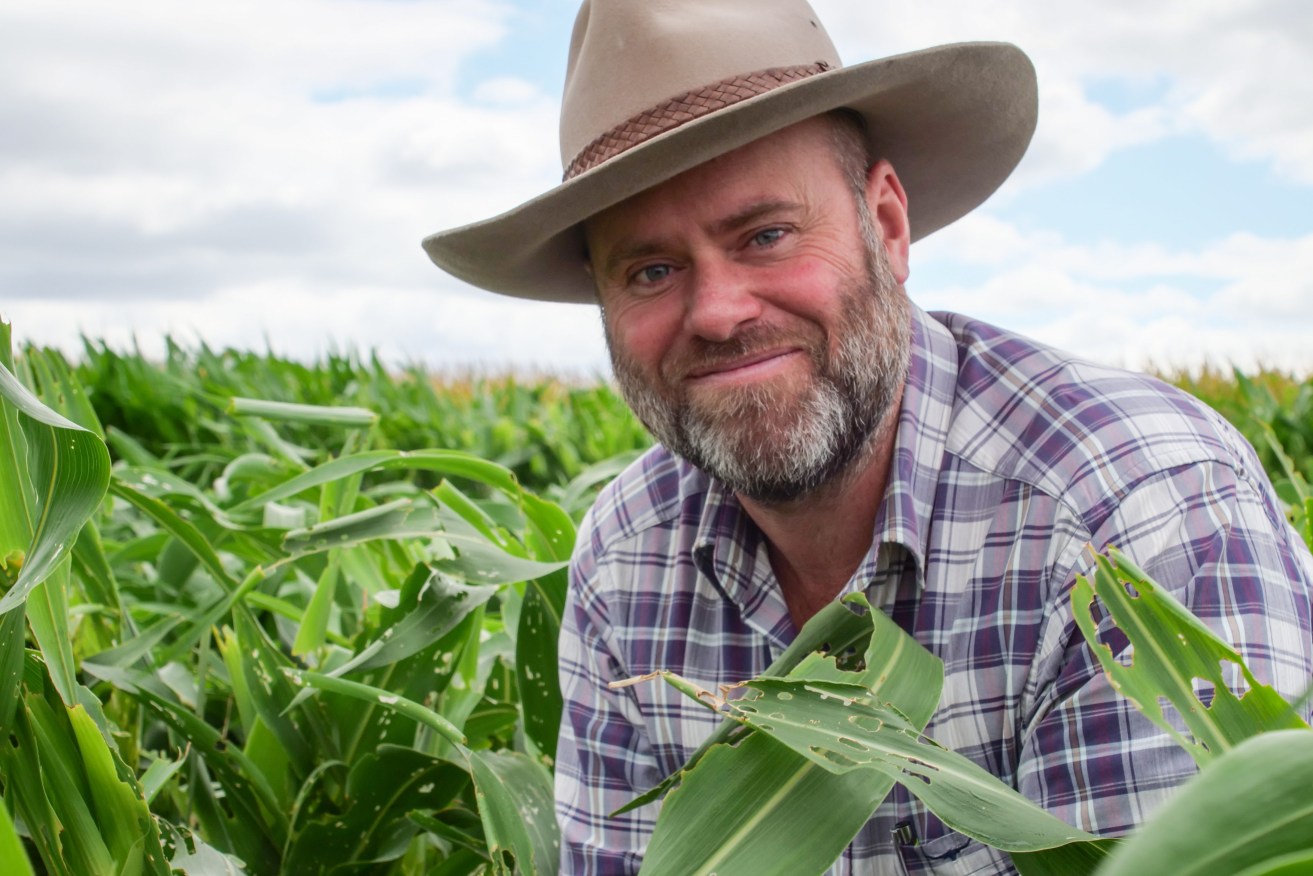 Dr Joe Eyre on the trail of fall armyworm. Picture: Megan Pope.