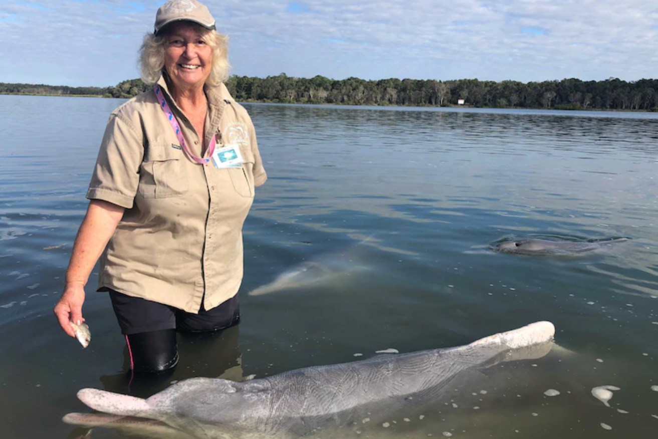 Bev Lambert has been volunteering at the Tin Can Bay Dolphin Centre for 12 years.(ABC Wide Bay: Jess Lodge)