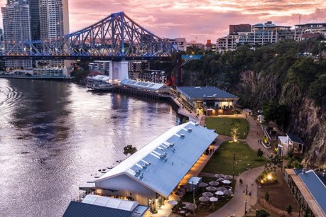 How Brisbane and the brown snake have suddenly become tourism attractions
