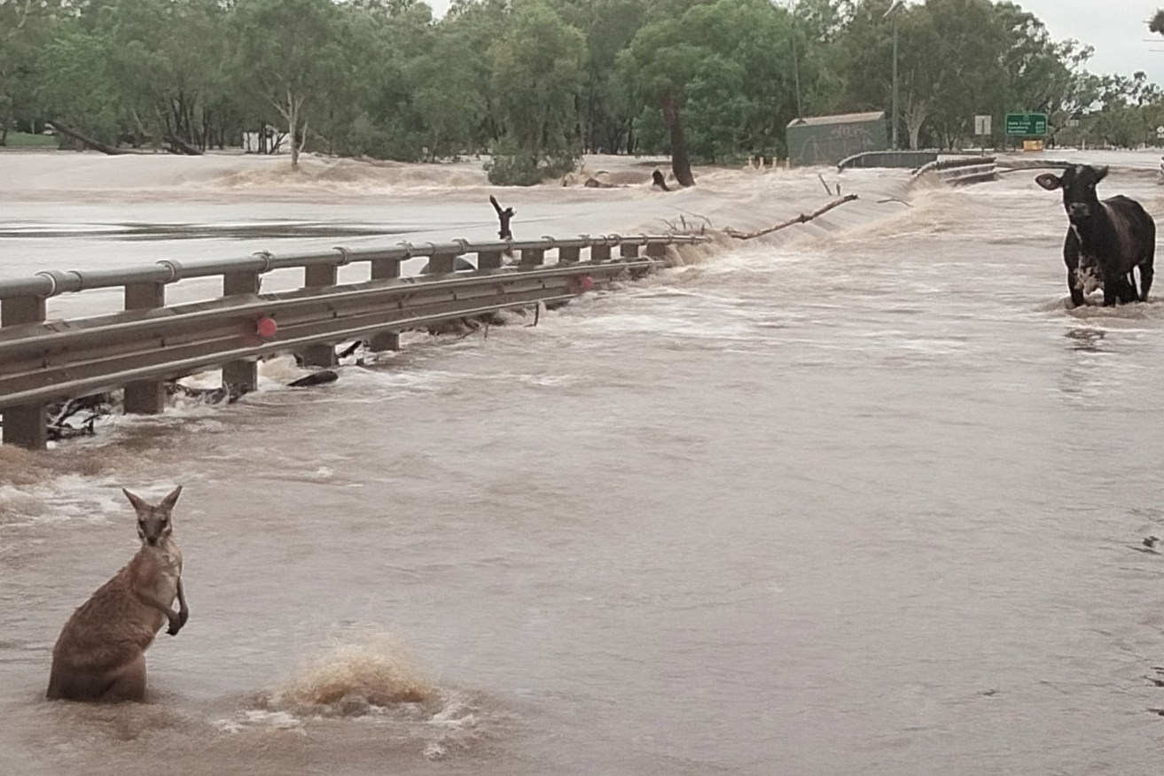 Floodwaters in the Kimberley region of Western Australia earlier this year.(AAP Image/Supplied by Andrea Myers) 