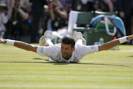 Who is this Djoker, and why is he trampling all over our Wimbledon fairytale?