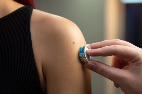 How a Brisbane company has made a breakthrough with a DIY vaccine