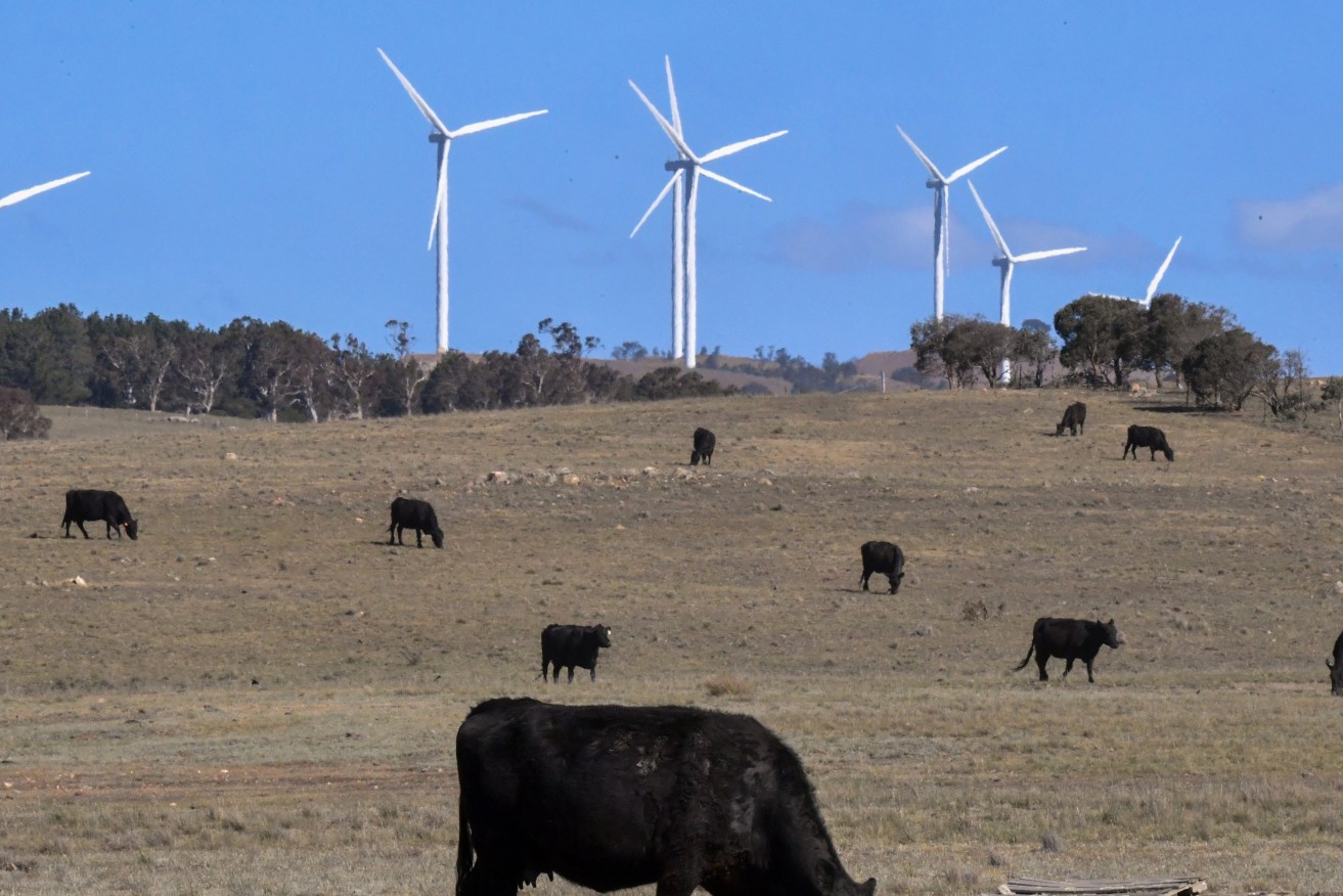 The Queensland Government has unveiled a review of wind farm approvals (AAP Image/Mick Tsikas)