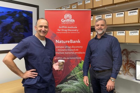 Rainforest plant could hold key to lung fibrosis treatment, Griffith finds