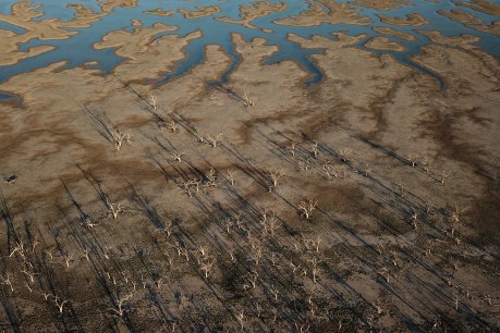 Damning review of Murray-Darling Basin plan delivery