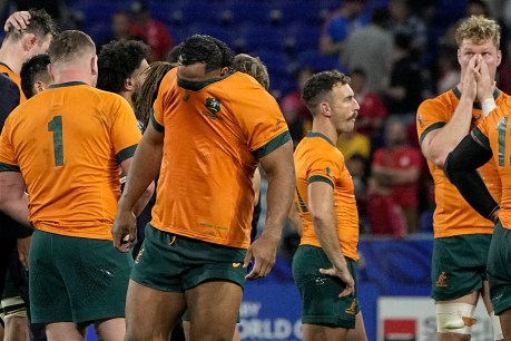 Wallaby great warns Australia heading for tier two status after World Cup humiliation