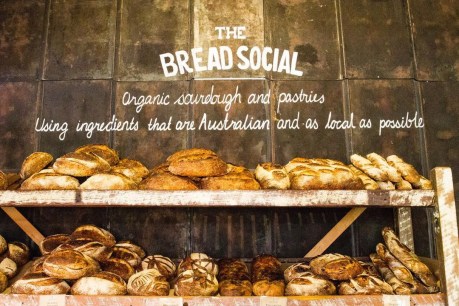 There’s plenty of dough, show and tell at The Bread Social