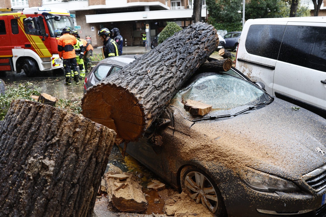 A  car crushed by a log due to the strong winds caused by storm 'Ciaran' in Madrid.  EPA/RODRIGO JIMENEZ