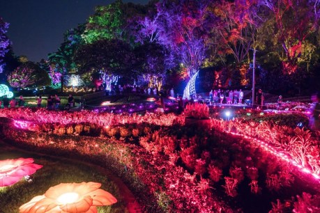 Light fantastic: The Enchanted Garden is returning to Roma Street Parkland