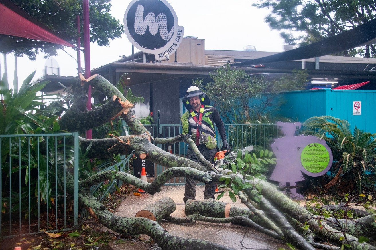 Workers remove a fallen tree from Muddy’s Playground in Cairns, Thursday, December 14, 2023. People in Tropical Cyclone Jasper's destructive path have been warned they are still not safe despite the system weakening in far north Queensland. (AAP Image/Brian Cassey) NO ARCHIVING