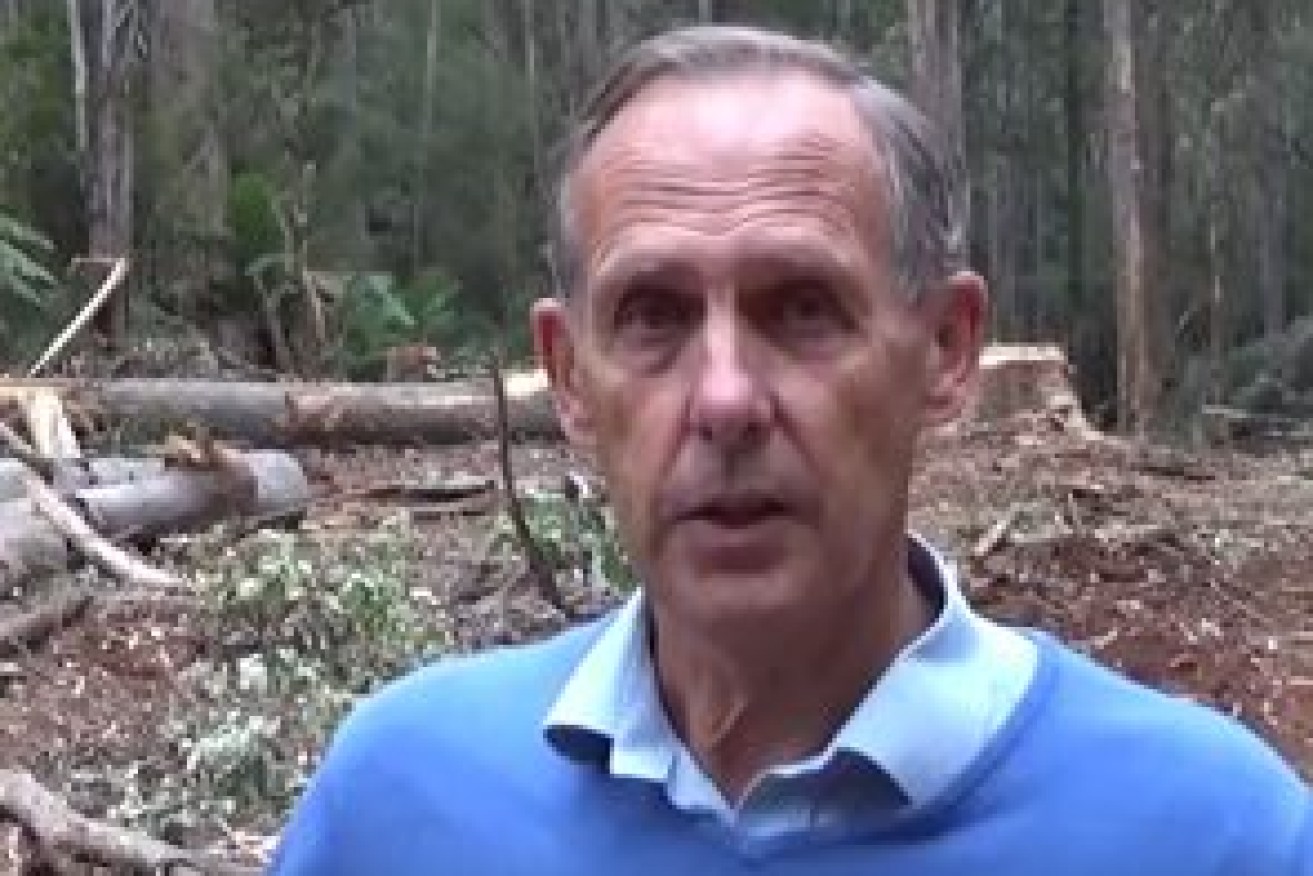 Former Greens leader Bob Brown. has been arrested over an illegal protest. Image: Human Rights Law Centre
