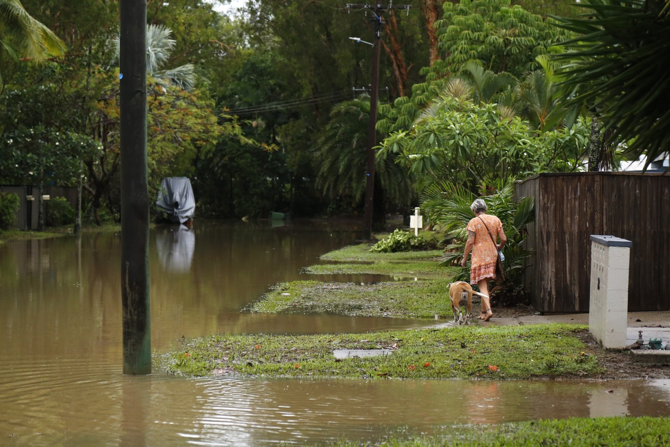 A woman walks with her dog past floodwater in the suburb of Holloways Beach in Cairns,as far north Queensland are bracing for more rain and further significant flooding. (AAP Image/Joshua Prieto) 
