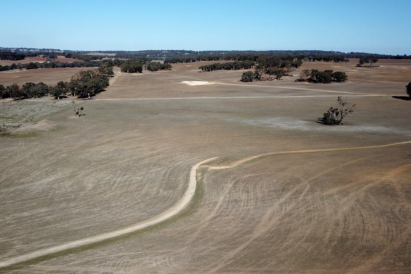 A general view of the mixed grains farm owned by the President of the Western Australian Farmers Federation Rhys Turton near York in the Wheatbelt region, 100km east of Perth on Tuesday, May 19, 2020. China today imposed an 80% tariff on barley imports from Australia. Barley usually makes up about 30% of his total crop but he will now be substituting most of his barley for other grains. (AAP Image/Richard Wainwright) NO ARCHIVING