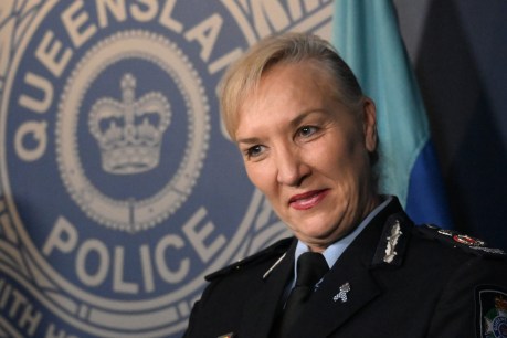 Commissioner ‘too nice for her own good’, but union rejects claims she was victim of hatchet job
