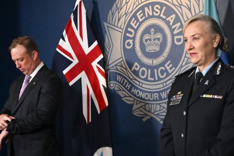 ‘The world has changed since COVID’: Carroll reveals why she called time on top cop job