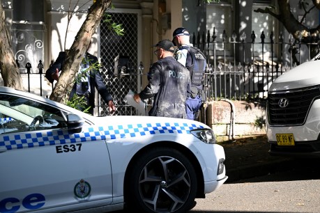 Man in police custody over baffling disappearance of Sydney gay couple
