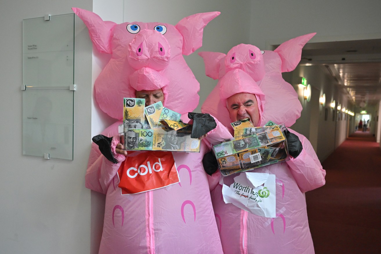 Katter’s Australian Party Member for Kennedy Bob Katter and Independent Member for Clark Andrew Wilkie dressed as pigs to highlight the market dominance of the big supermarkets, at Parliament House in Canberra, Wednesday, February 28, 2024. (AAP Image/Mick Tsikas) NO ARCHIVING