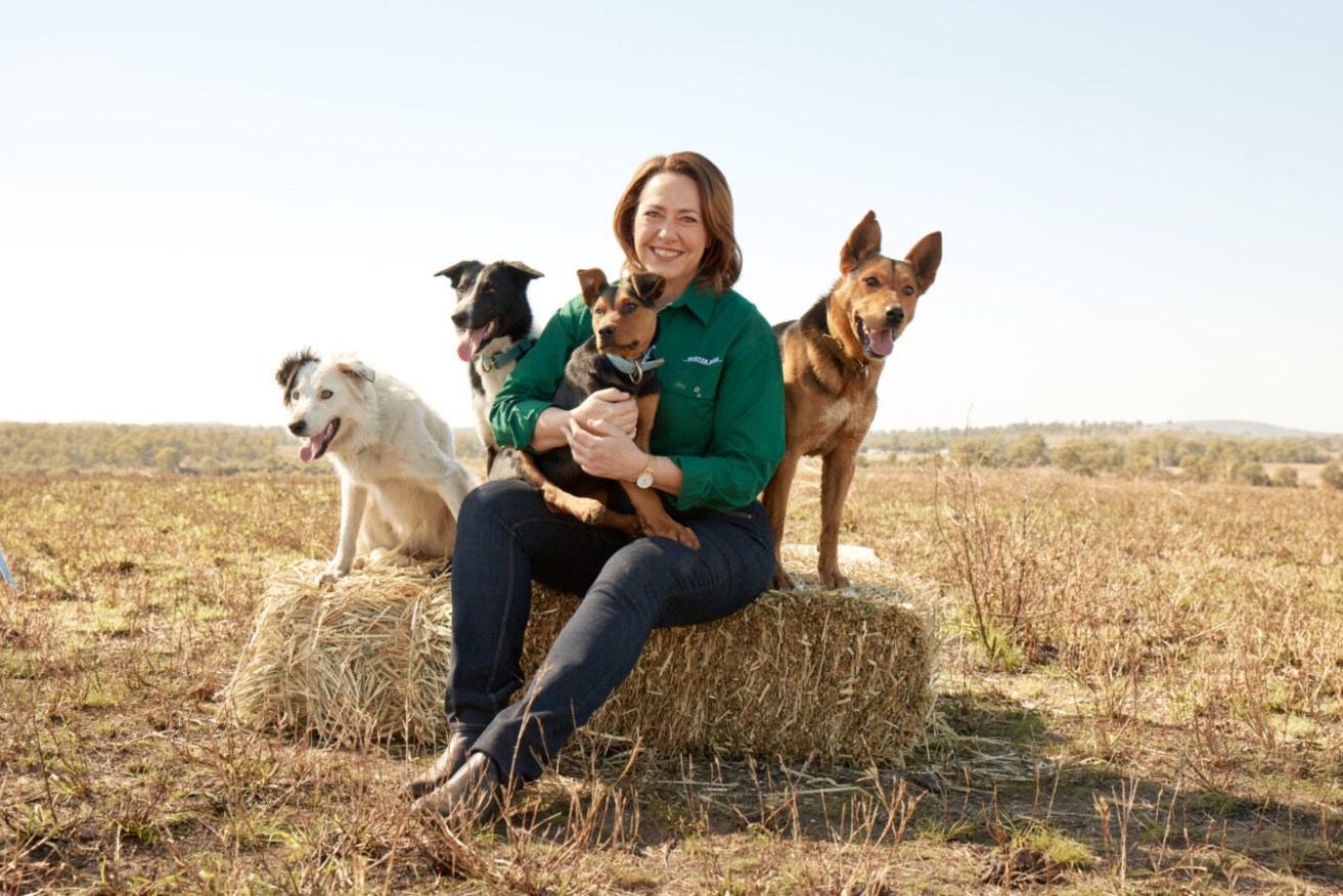 Lisa Millar's new book tells the story behind two successful seasons of Muster Dogs on ABC-TV.
