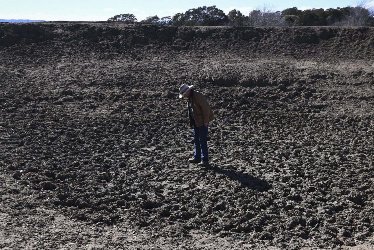 NSW farmer Mark Horan inspects a dried out dam on Bedervale farm near Braidwood, NSW (Photo Lukas Coch) 