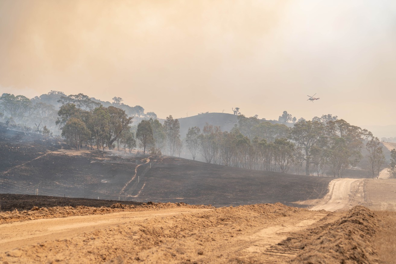 A supplied image obtained on Wednesday, February 28, 2024, shows burnt fields at the Bayindeen-Rocky Road fire northwest of Ballarat, Victoria.  (AAP Image/Supplied by Forest Fire Management Victoria) 