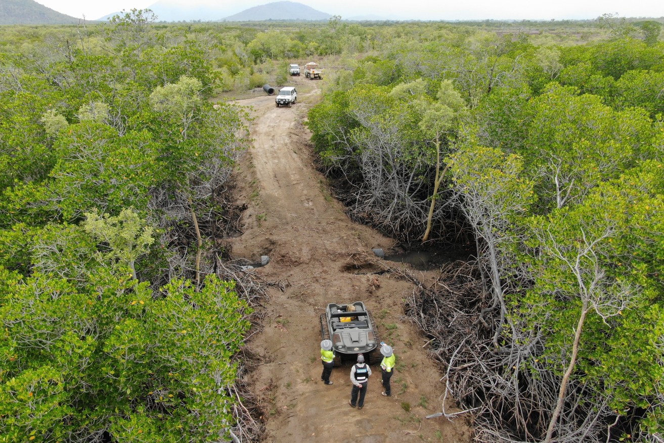 A 2km road was illegally cleared through protected national park in north Queensland, Bowling Green Bay National Park, Qld. (AAP Image/Supplied by Qld Department of Environment, Science and Innovation) 
