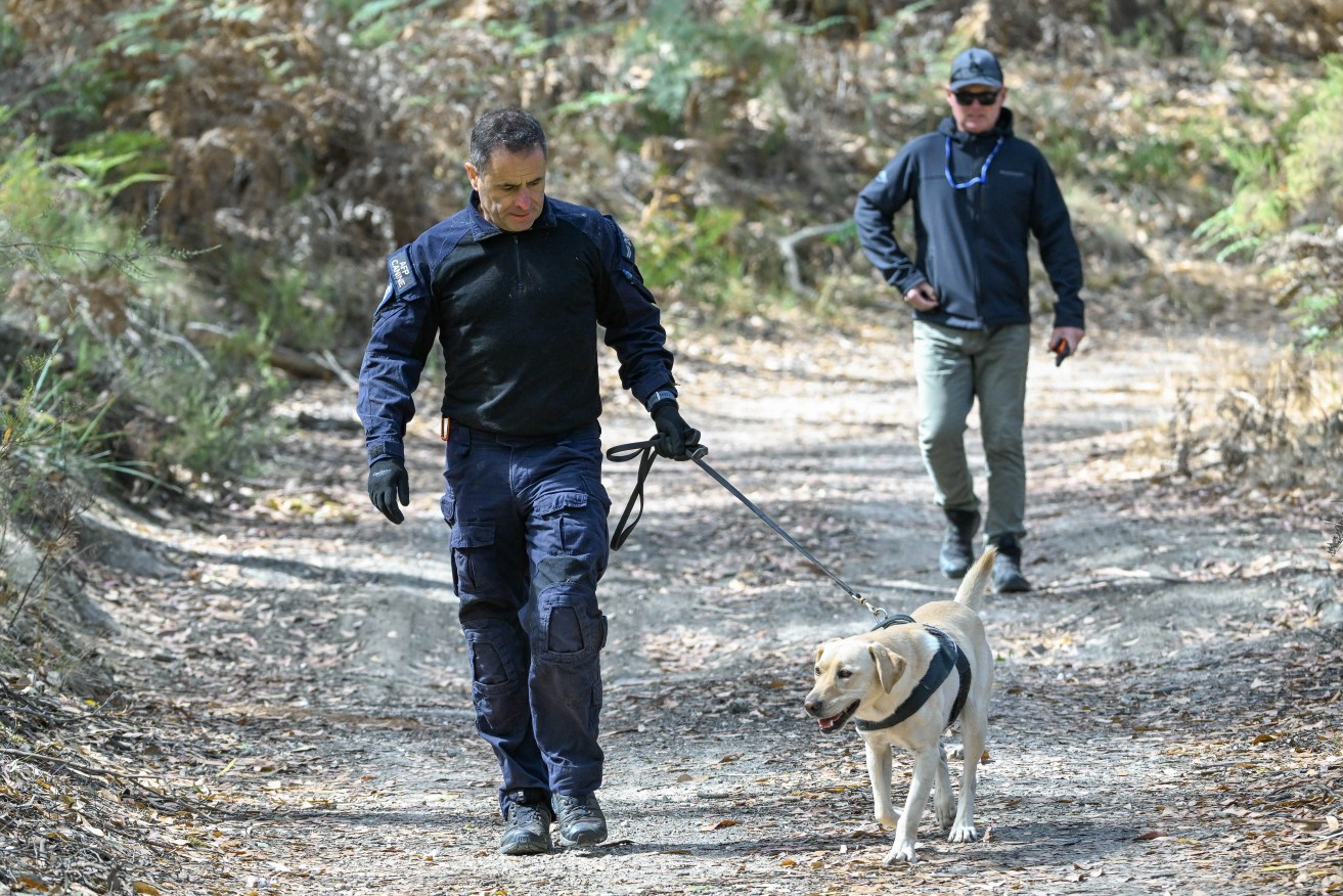 Police search for the remains of slain mother Samantha Murphy in the Buninyong Bushland Reserve near Ballarat, Victoria, Wednesday, March 20, 2024. A wide scale search for the body of missing mother-of-three Samantha Murphy is unfolding in bushland near Ballarat. (AAP Image/Pool, Joe Armao) 