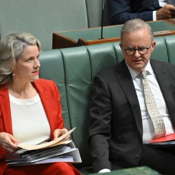 <p>For a proud child of the Labor Left, Anthony Albanese&#8217;s recent policy-making has shown him to be anything but, writes Michelle Grattan</p>
