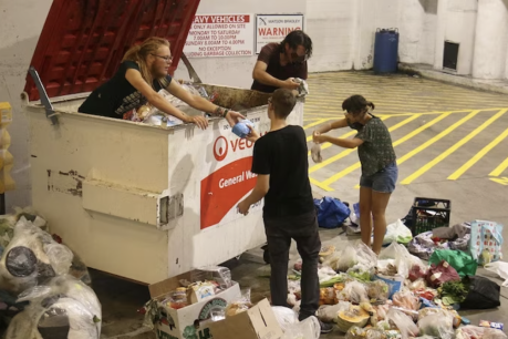 Fresh food people? Senate hears good food being thrown away, poor forced into ‘dumpster diving’