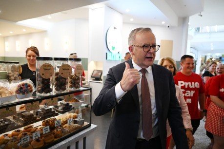 Albanese hints that small businesses will be biggest winners in new budget