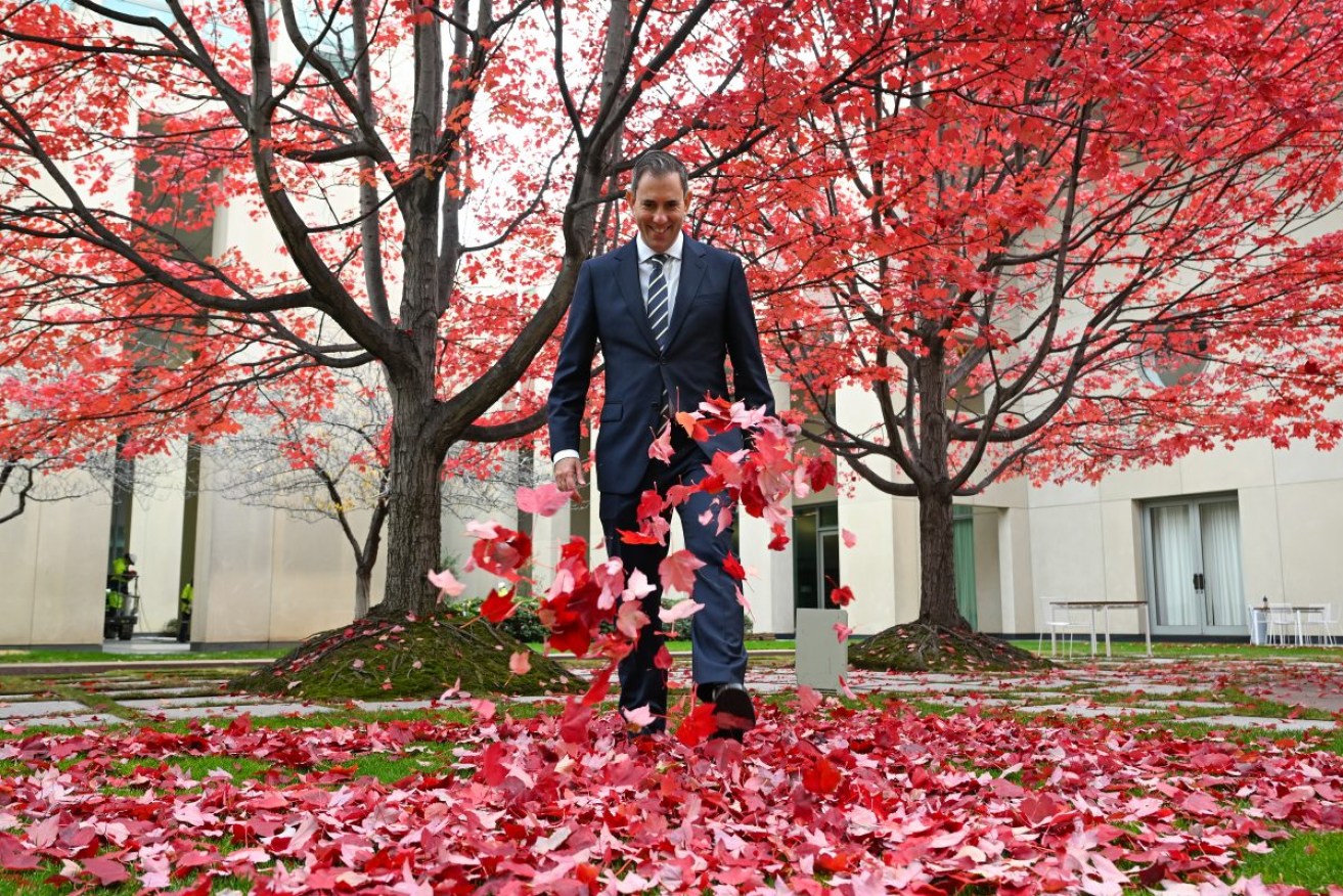 Australian Treasurer Jim Chalmers poses for photographers during a light-hearted moment under the ‘budget tree’ at Parliament House in Canberra, Wednesday, May 8, 2024. (AAP Image/Lukas Coch) NO ARCHIVING