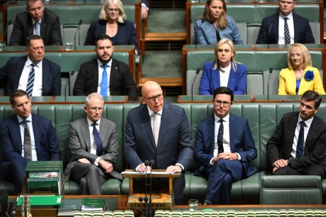 Race to the bottom: Greens slam ‘racist trope’ from Dutton’s budget reply