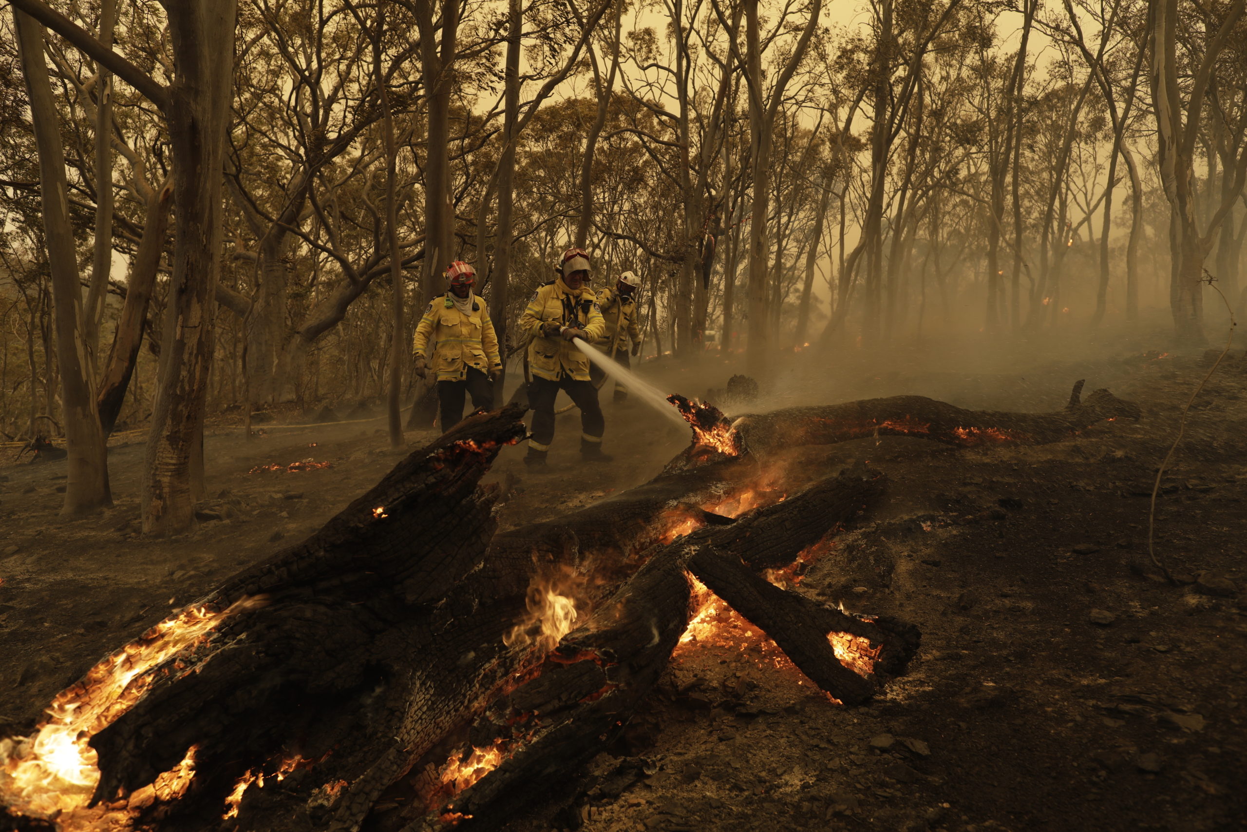 PM concerned about flow of fire donations - InQueensland